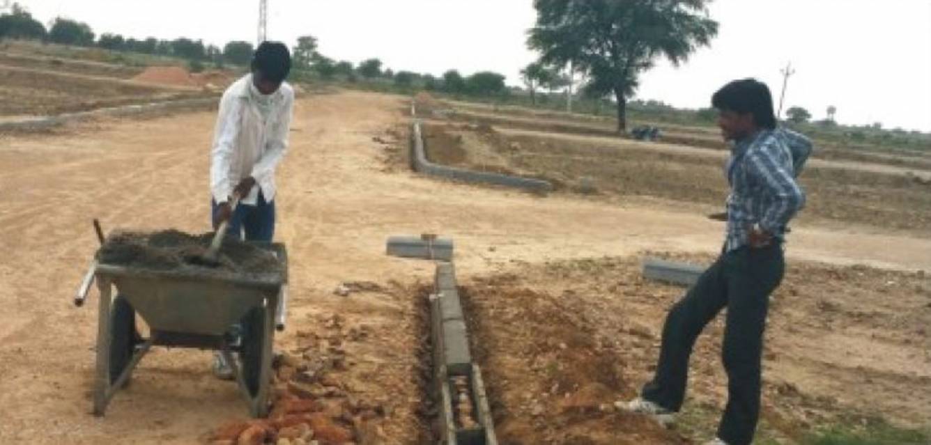 Images for Main Other of Rose Rose Garden 1