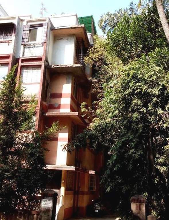  the shamrock apartments Elevation