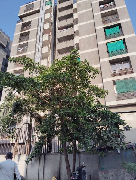  royal-heights Elevation