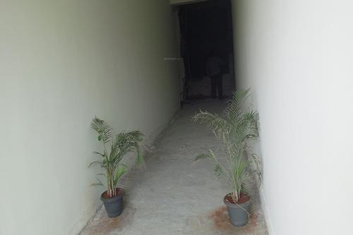  pearl Images for Main Other of Mathrubhuumi Pearl