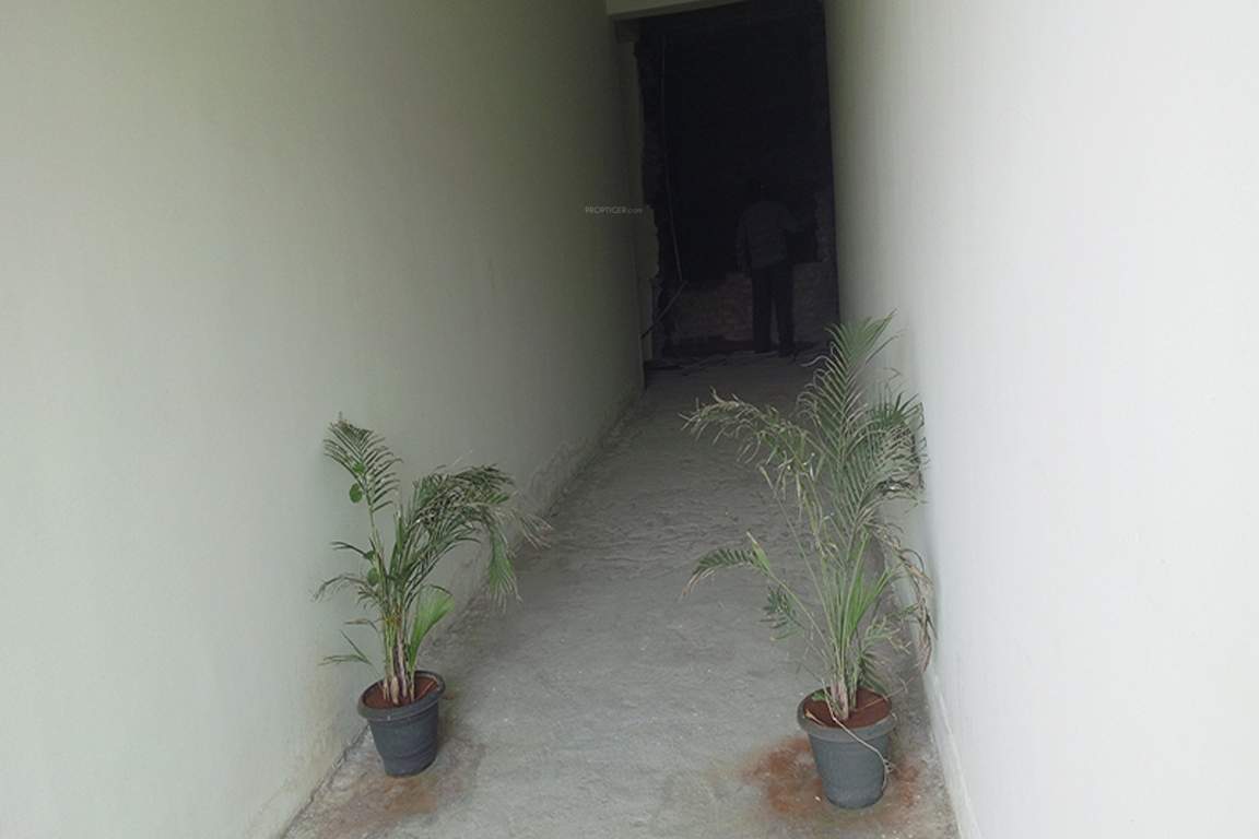 pearl Images for Main Other of Mathrubhuumi Pearl