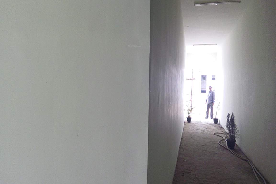 pearl Images for Main Other of Mathrubhuumi Pearl