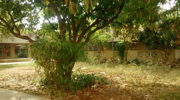 Theme Park pushpanjali-residency-phase-iii Theme Park