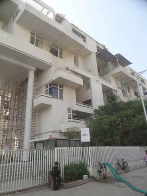 parijat Images for Project Images for Project