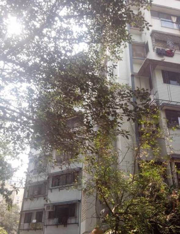  panorama apartment Elevation