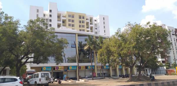  sun-radiant Images for Project