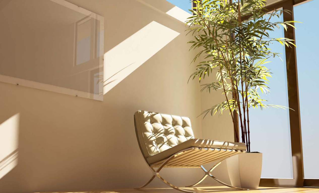  star Images for Main Other of Alcons Star