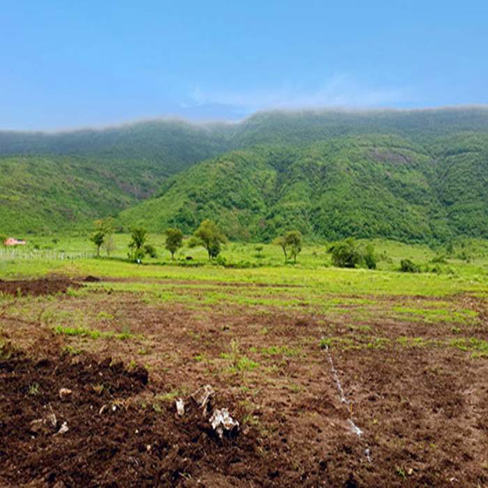 Images for Main Other of Rising Rising City