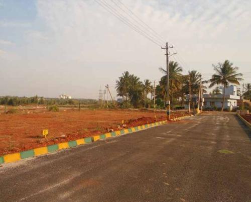 Images for Main Other of Millennium Kings Park