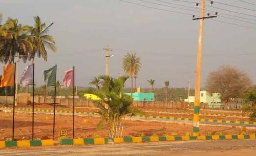 Images for Main Other of Millennium Kings Park