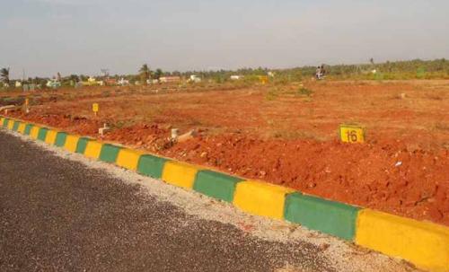 Images for Main Other of Millennium Kings Park