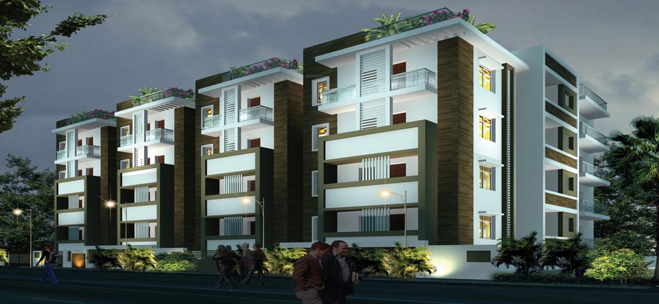 crystal Images for Elevation of NCN Crystal