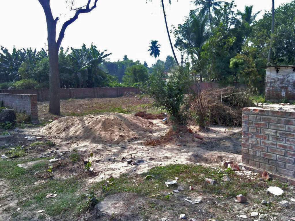  city king City King Construction Status Jan 15