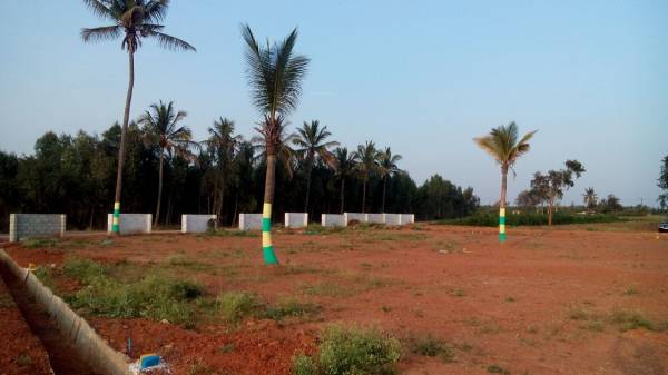 Images for Amenities of Moksha Palm Greens Images for Amenities of Moksha Palm Greens