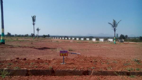 Images for Amenities of Moksha Palm Greens Images for Amenities of Moksha Palm Greens