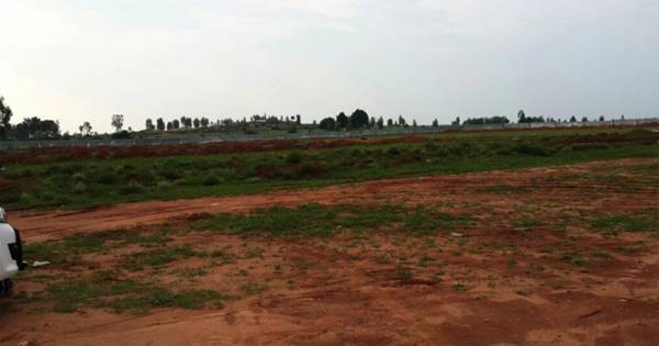 Images for Main Other of Moksha Palm Greens Images for Main Other of Moksha Palm Greens