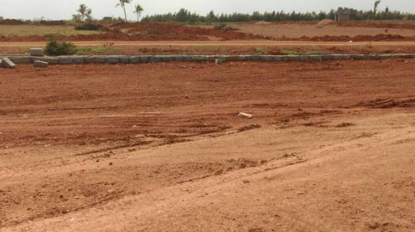 Images for Main Other of Moksha Palm Greens Images for Main Other of Moksha Palm Greens