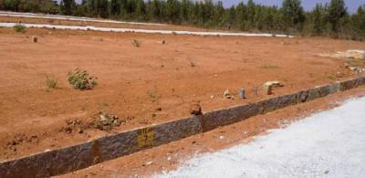 hiland-realty blossom Main Other