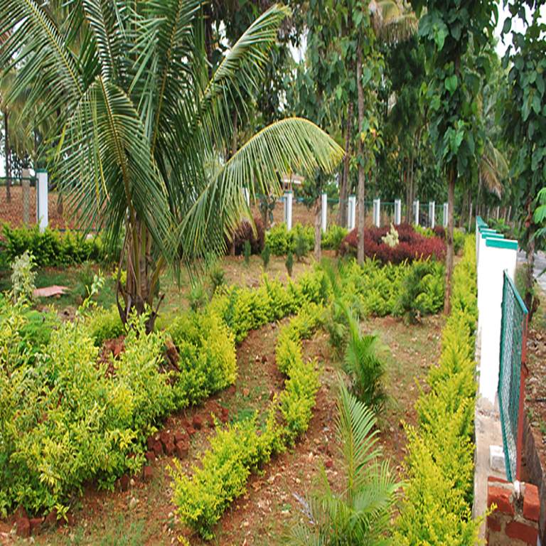 Images for Main Other of Svamitva Sunshine City Phase II