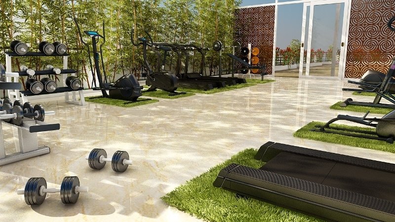  akila and akula Gymnasium