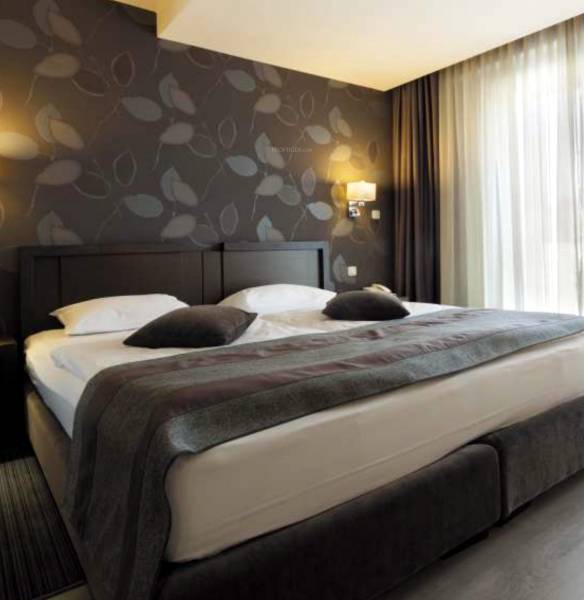 Images for Main Other of Ruparel Primero