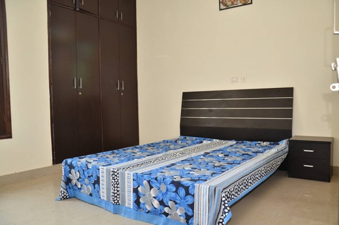 Images for Main Other of Safe Palash