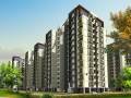 Omega Developers And Builders Orchid Heights