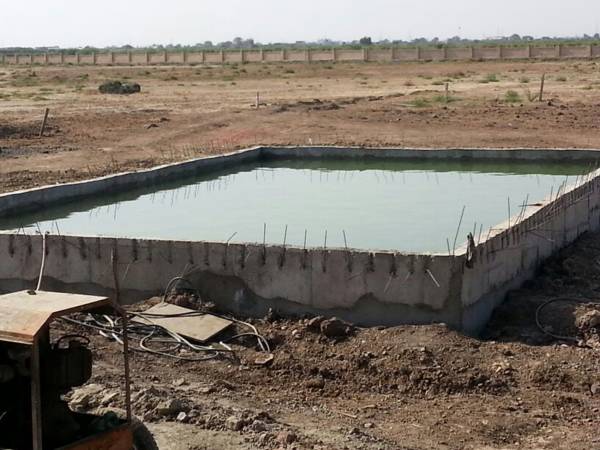 Images for Main Other of Magnanimous Greenz 2