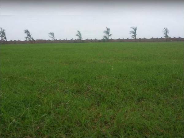 Images for Main Other of Magnanimous Greenz 3