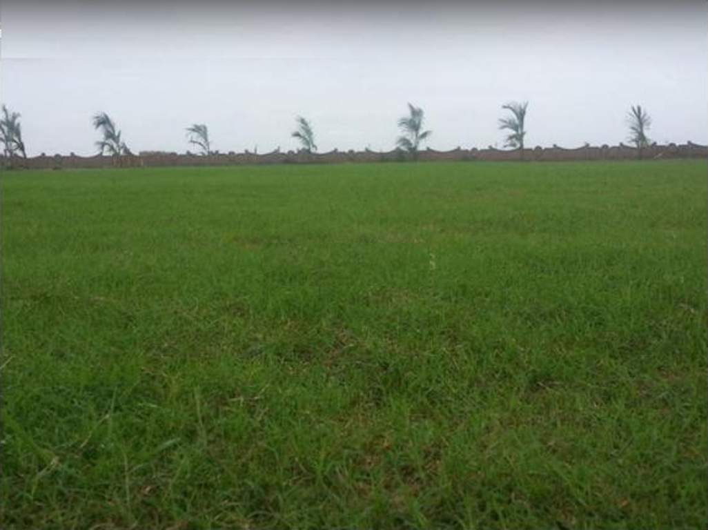 Images for Main Other of Magnanimous Greenz 3