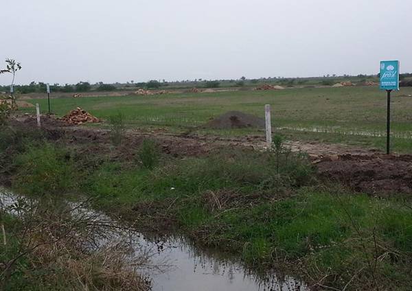 Images for Main Other of Magnanimous Pearl