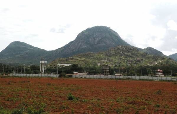 Images for Main Other of Wellnest Hill County