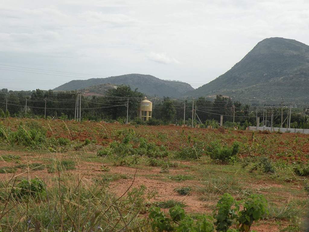 Images for Main Other of Wellnest Hill County