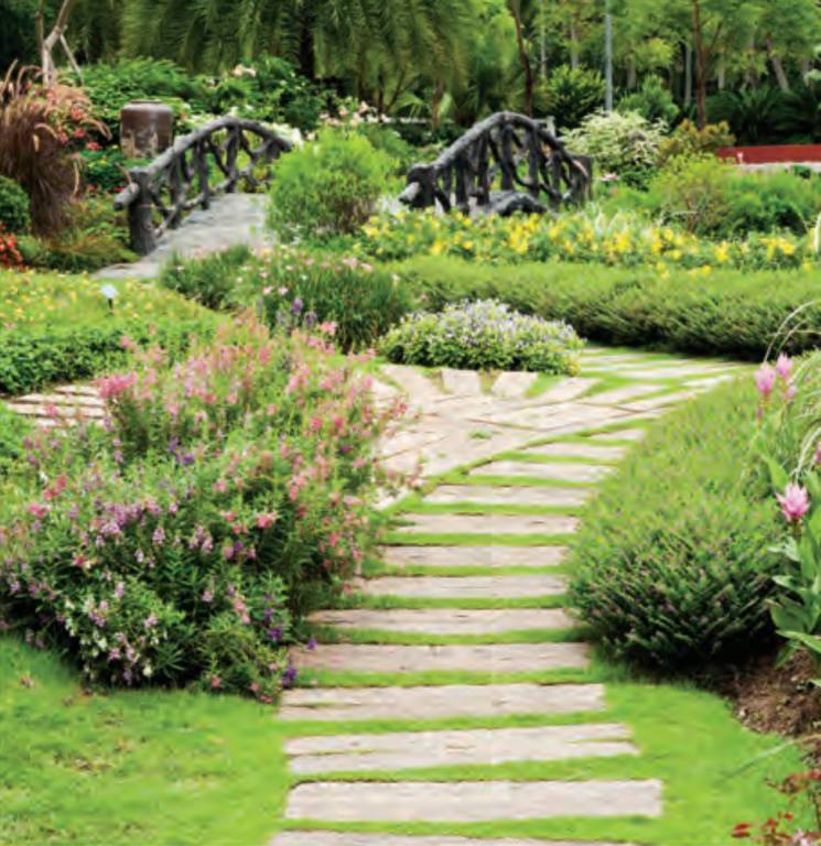 Images for Amenities of FS The Crest