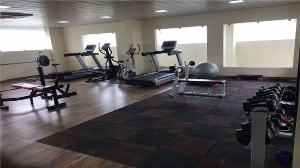  midas-touch Gymnasium