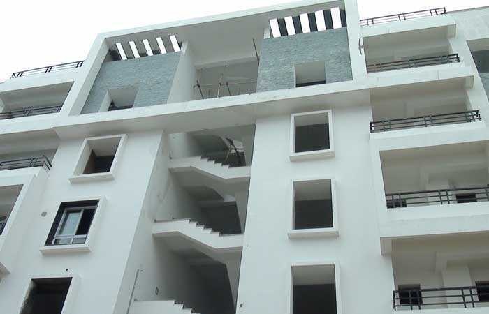 springdale Elevation