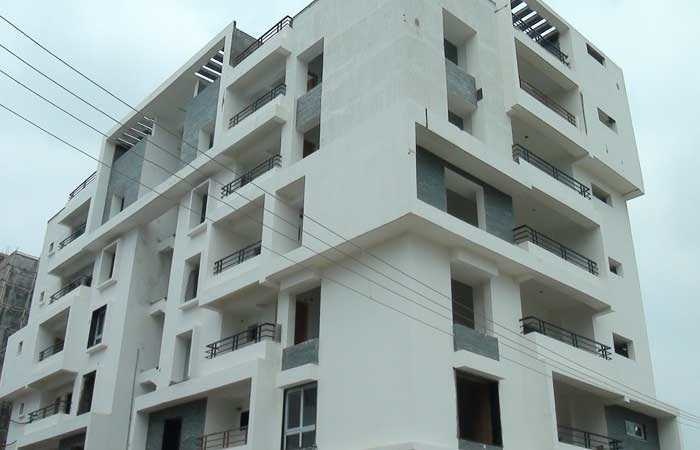 springdale Elevation