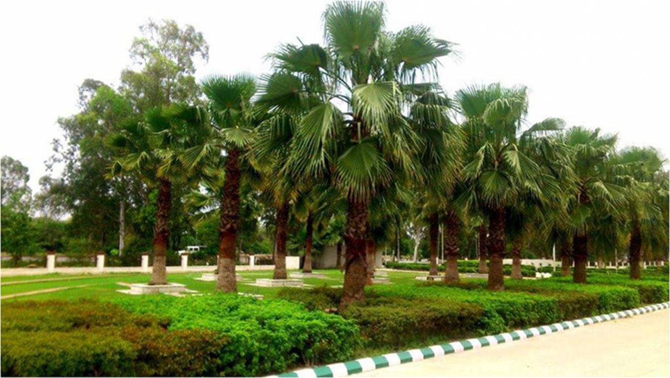 Images for Main Other of Eldeco Savoy Villas