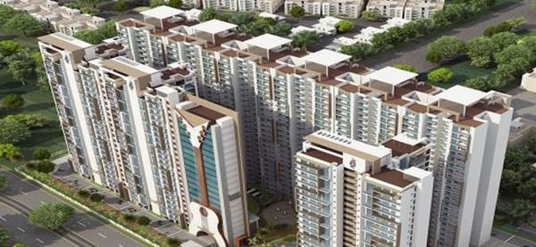 Images for Elevation of Palm Music County