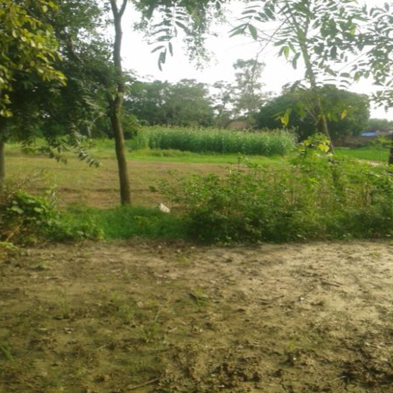 Images for Main Other of Chitragupta Gokul County