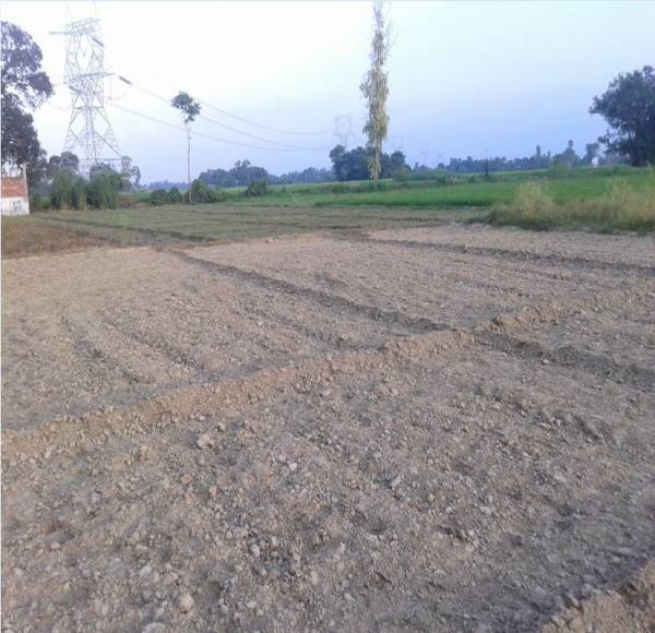 Images for Main Other of Chitragupta Gokul County Images for Main Other of Chitragupta Gokul County