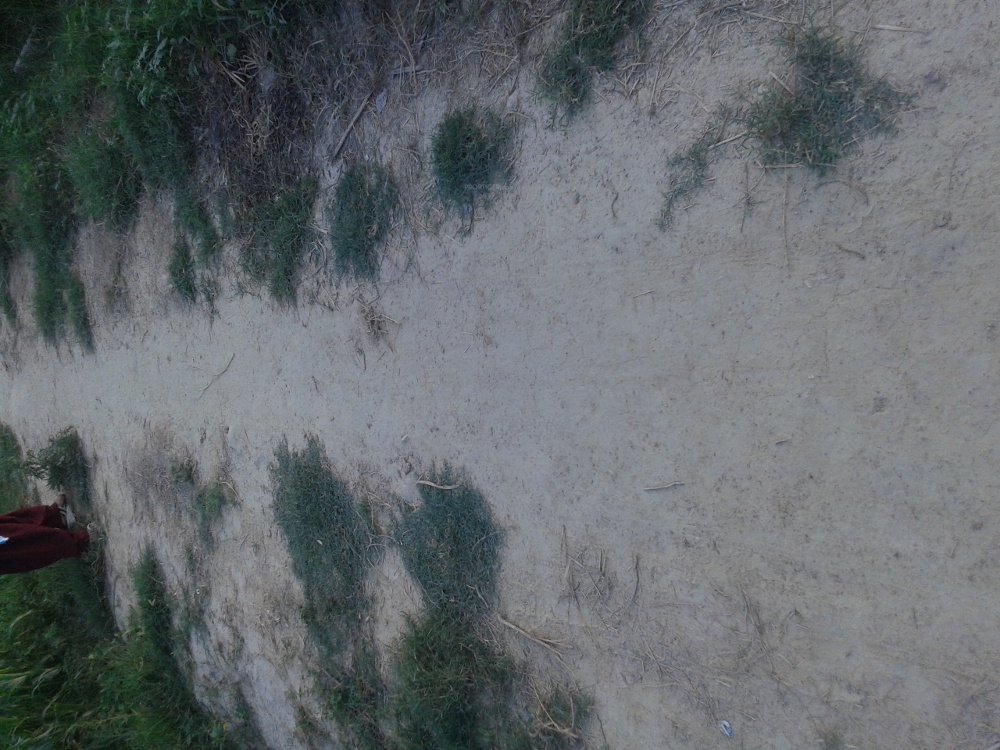 Images for Main Other of Chitragupta Gokul County