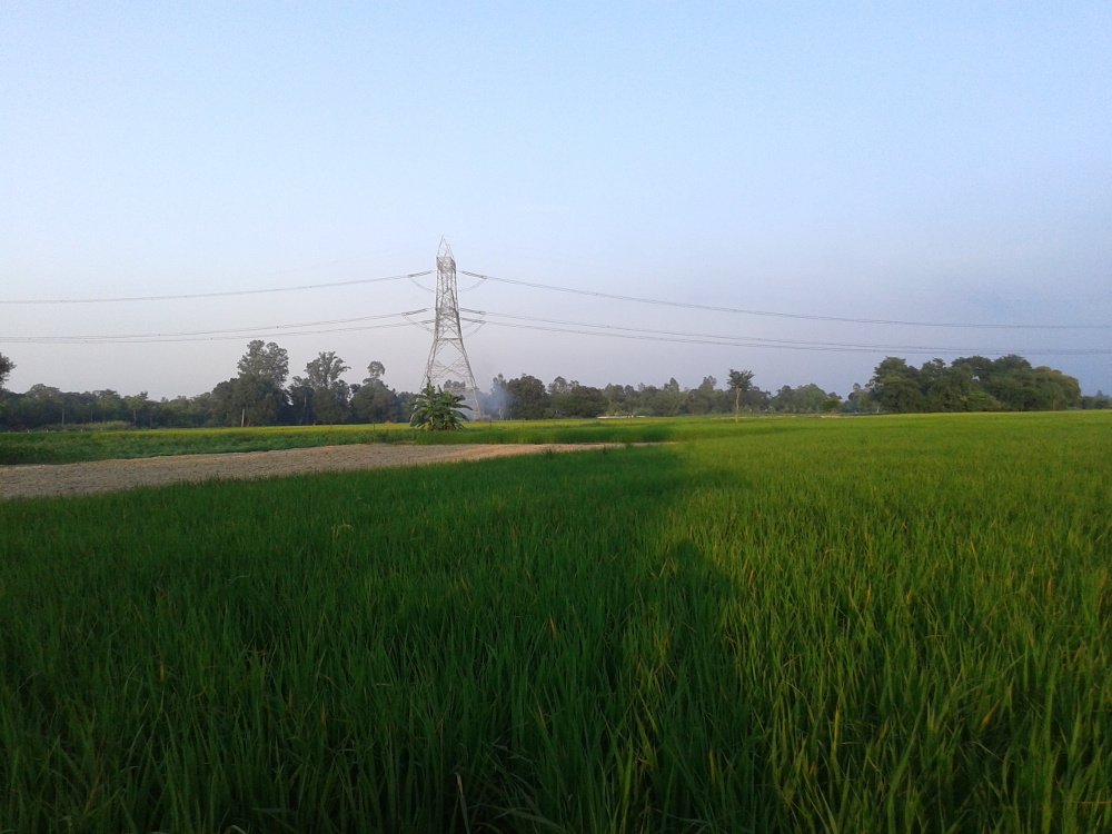 Images for Main Other of Chitragupta Gokul County