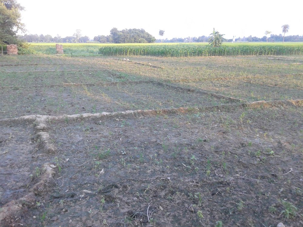 Images for Main Other of Chitragupta Gokul County