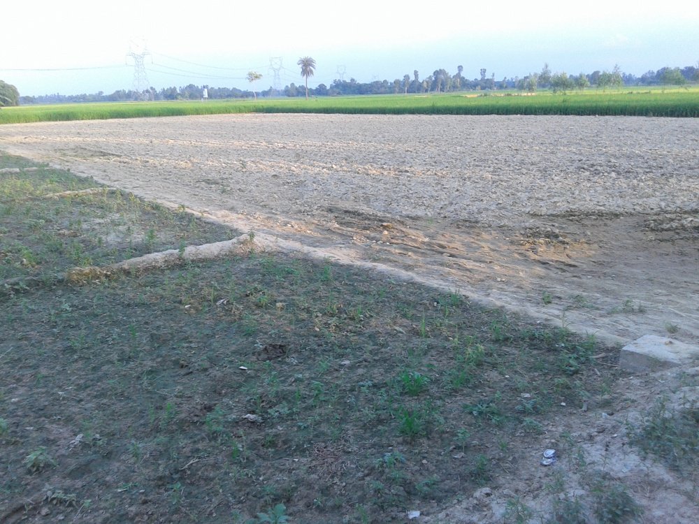 Images for Main Other of Chitragupta Gokul County