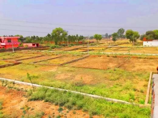 estate Elevation Elevation