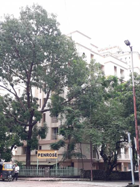  estate-penrose Elevation