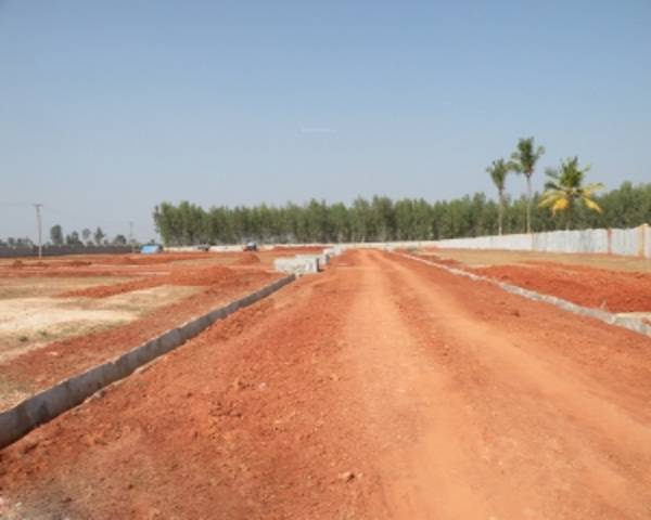 Images for Main Other of Indes Dew Drops Images for Main Other of Indes Dew Drops