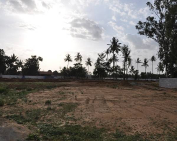 Images for Main Other of Indes Dew Drops Images for Main Other of Indes Dew Drops