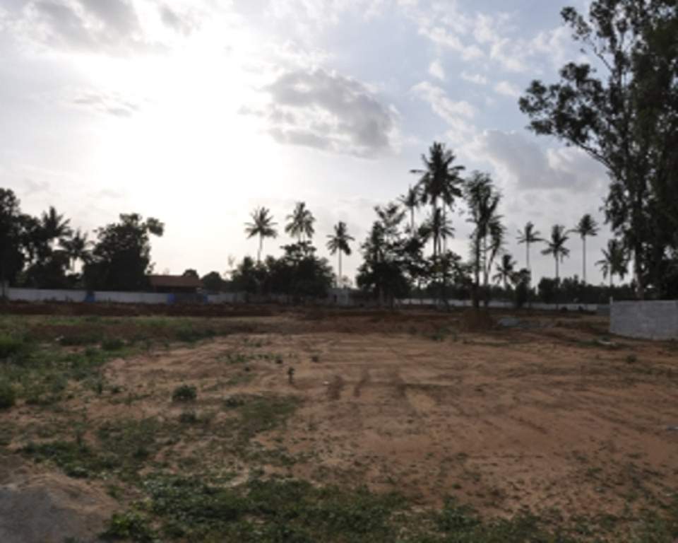 Images for Main Other of Indes Dew Drops